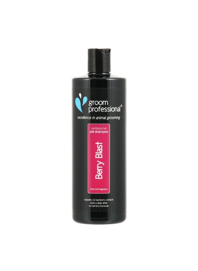 Groom Professional Berry Blast Shampoo 450ml – Fruity Shine & Soft Coat Care - Image 1